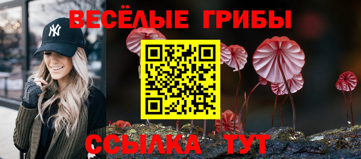 Псилоцибиновые грибы ЛСД  Вход с VPN  Назарово 